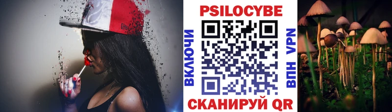 купить закладку omg ТОР Псилоцибиновые грибы GOLDEN TEACHER Плавск
